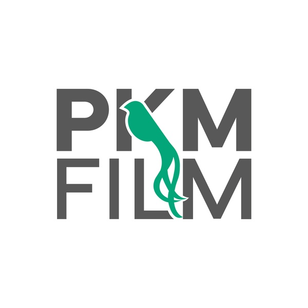 PKM FilmproduktionsgmbH